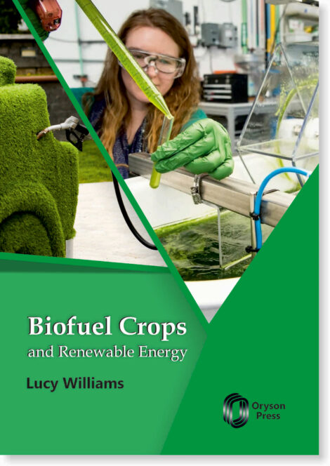Biofuel-Crops-and-Renewable-Energy.jpg