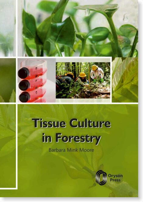 Tissue-Culture-in-Forestry.jpg
