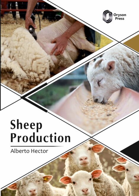 Sheep Production Cover F